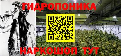 соль ск Пушкино