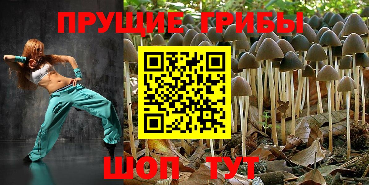 Галлюциногенные грибы Psilocybe  Псилоцибиновые грибы Psilocybe  Вход с VPN  Ачинск 